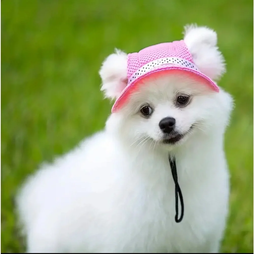 ADJUSTABLE DOG CAP WITH EAR HOLES FOR SUN PROTECTION AND GROOMING